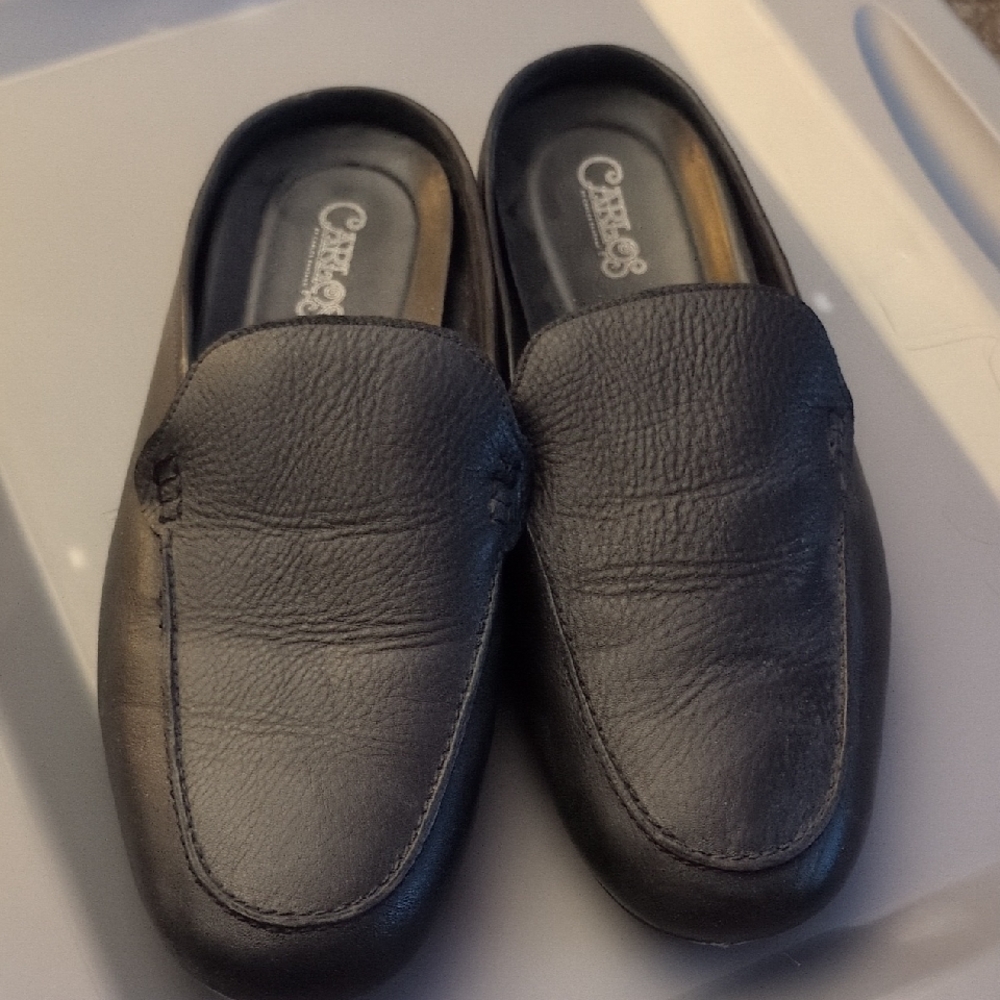 Carlos Santana Men's Slip-On Loafers
